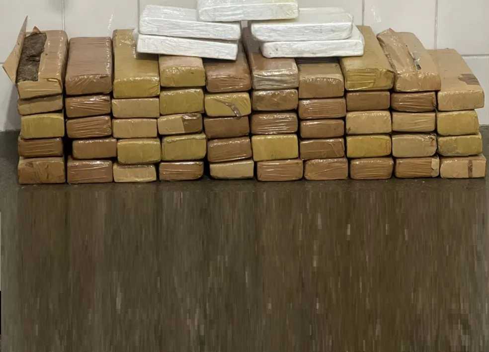 Polícia Rodoviária apreende 49 tabletes de maconha e 5 de cocaína em ônibus na Bahia